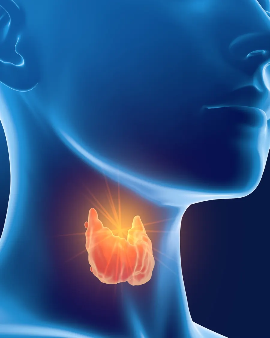 Thyroid Issues at Cinch Clinics